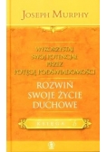 Wykorzystaj swój potencjał T.5 Rozwiń swoje ...