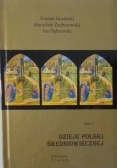 Dzieje Polski średniowiecznej, Tom 1