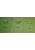 Socjologia ogólna. Tom I-III