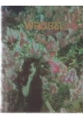 Wrubel