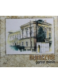 Głubczyce portret miasta