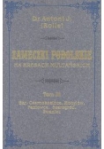 Zameczki podolskie na Kresach Multańskich. T. 3,Reprint 1880 r.