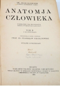 Anatomja człowieka, Tom II, 1921 r.