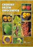 Choroby drzew owocowych
