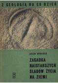 Zagadka najstarszych śladów życia na ziemi