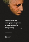 Między światem dostępnym zmysłowo a transcendencją