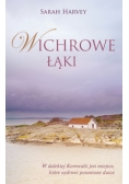 Wichrowe łąki