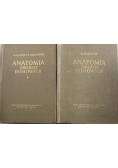 Anatomia zwierząt domowych Tom I i II