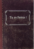 Tu es Petrus! Rozważania dla kapłanów, 1913 r.