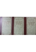 Zarys dziejów reformacji w Polsce 3 tomy reprint z ok 1905 r.