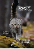 Kalendarz 2022 Dzikie Bieszczady