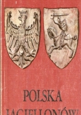 Polska Jagiellonów. Dzieje polityczne