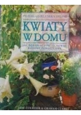 Kwiaty w domu. Jak dobierać i pielęgnować rośliny doniczkowe