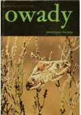 Owady