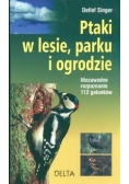 Ptaki w lesie, parku i ogrodzie
