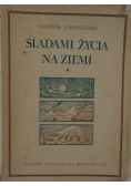 Śladami życia na ziemi