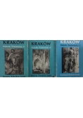 Kraków Kościoły Śródmieścia - zestaw 3 książek