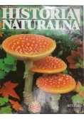 Historia naturalna, Botanika