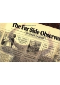 Far Side Observer