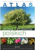 Atlas drzew i krzewów polskich