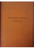 Mistrzostwo natury, 1936r.