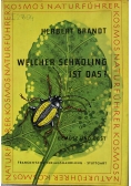 Welcher Schadling ist das