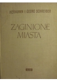 Zaginione miasta