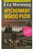 Wychowany wśród psów