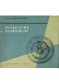 Wzornictwo ceramiczne IWP