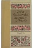 Dzienniki 1918 - 1929
