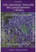 Jak uprawiać lawendę dla przyjemności i zysku