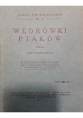 Wędrówki ptaków , 1929 r.
