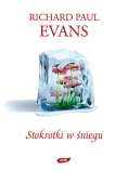 Stokrotki w  śniegu