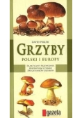 Grzyby Polski i Europy
