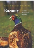 Bażanty. Gatunki, pielęgnacja, choroby