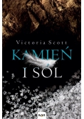 Kamień i sól