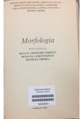 Morfologia.