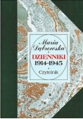 Dzienniki 1914- 1945,Tom I