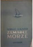Zamarłe morze