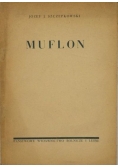 Muflon