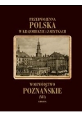 Przedwojenna Polska w krajobrazie i zabytkach. Województwo poznańskie