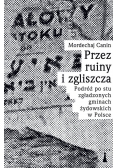 Przez ruiny i zgliszcza