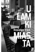 Ułamki miasta z przeszłości Gliwic w XX wieku