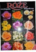 Róże encyklopedia fotograficzna