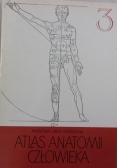 Atlas anatomii człowieka 3