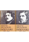 Dzienniki 1822 1863 2 tomy