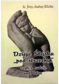 Dzieje Śląska pod strzechy