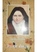 Św. Teresa od Dzieciątka Jezus. Dzieje duszy