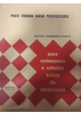 Praca wychowawcza w zakładzie karnym dla młodocianych