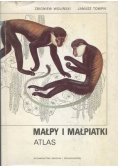 Małpy i małpiatki atlas